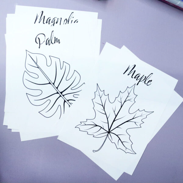 Leaf Coloring Pages for Kids & Adults - Image 18