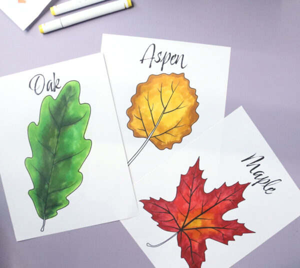 Leaf Coloring Pages for Kids & Adults - Image 16
