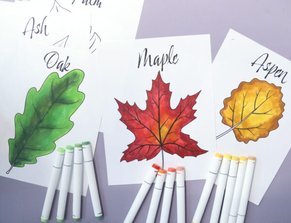 Leaf Coloring Pages for Kids & Adults - Image 12