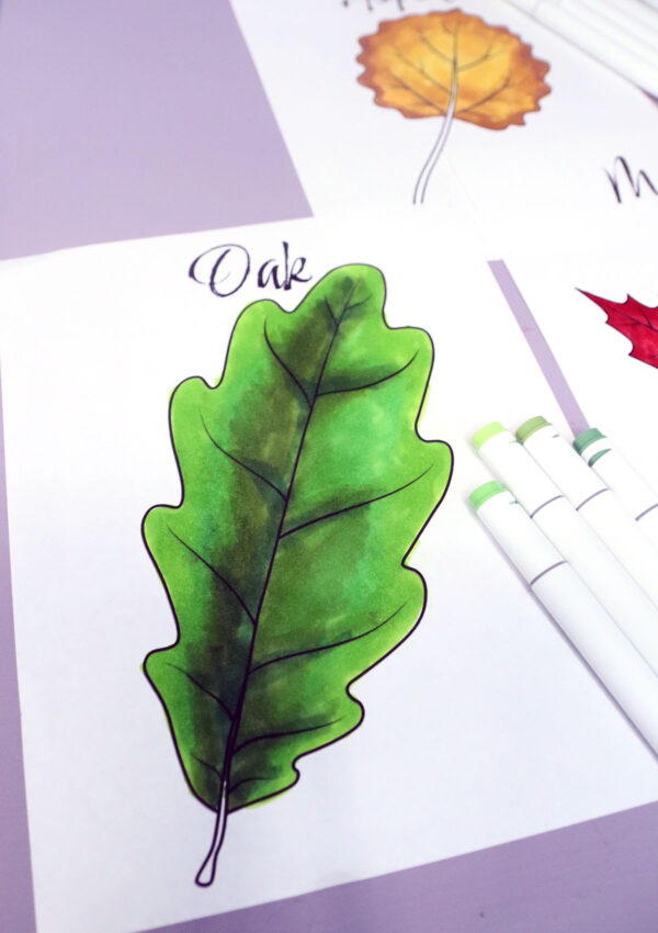Leaf Coloring Pages for Kids & Adults - Image 6