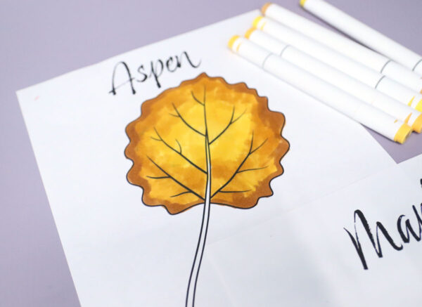 Leaf Coloring Pages for Kids & Adults - Image 4