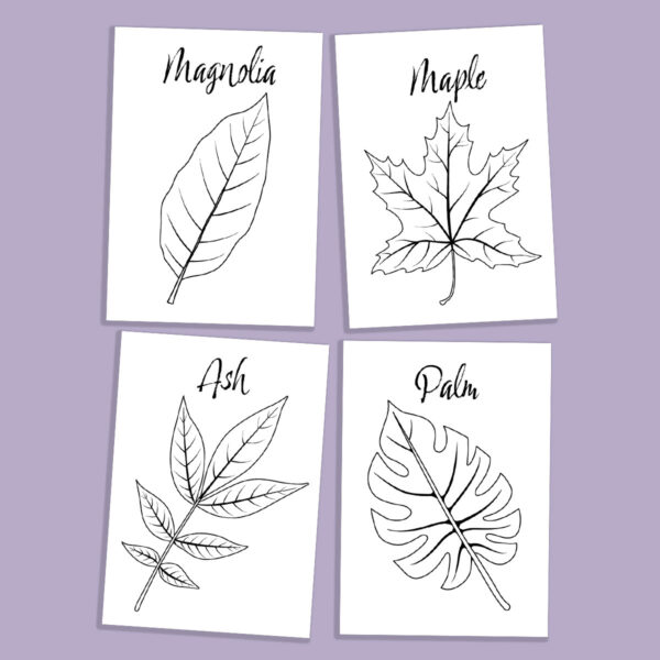 Leaf Coloring Pages for Kids & Adults - Image 13