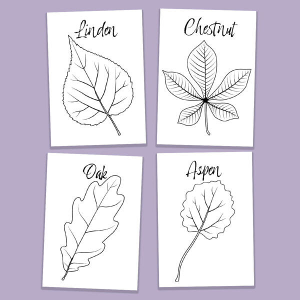 Leaf Coloring Pages for Kids & Adults - Image 14