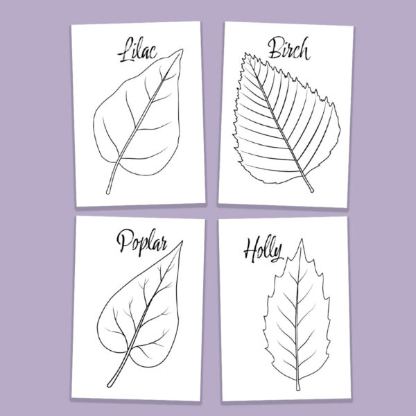 Leaf Coloring Pages for Kids & Adults - Image 15