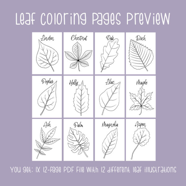 Leaf Coloring Pages for Kids & Adults - Image 2