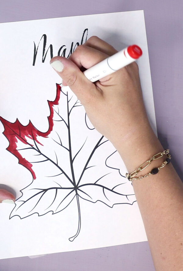 Leaf Coloring Pages for Kids & Adults - Image 7