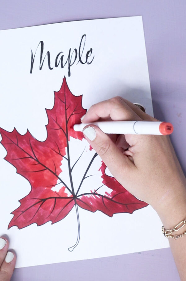 Leaf Coloring Pages for Kids & Adults - Image 8