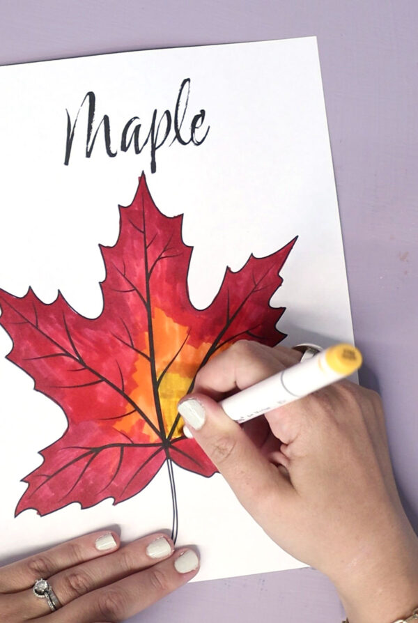 Leaf Coloring Pages for Kids & Adults - Image 10