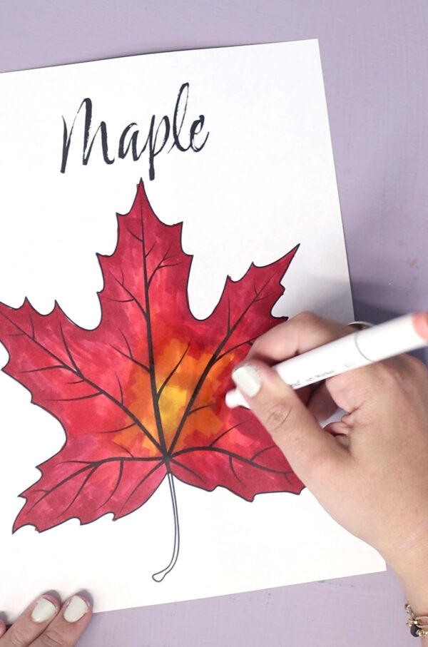 Leaf Coloring Pages for Kids & Adults - Image 11