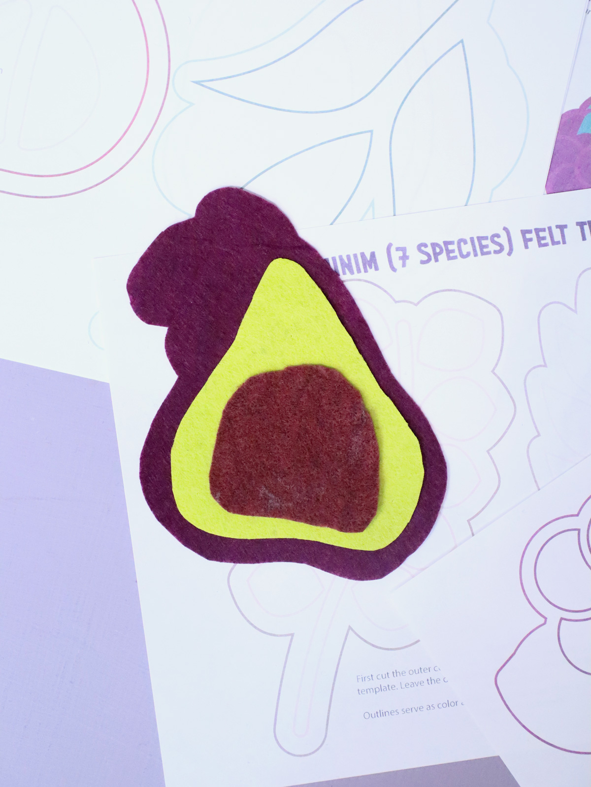 Felt Shivat Haminim 7 Species of Israel Craft Template - SVG & PDF - Image 8